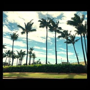 Meet your Posher, Jill